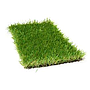 Artificial Grass
